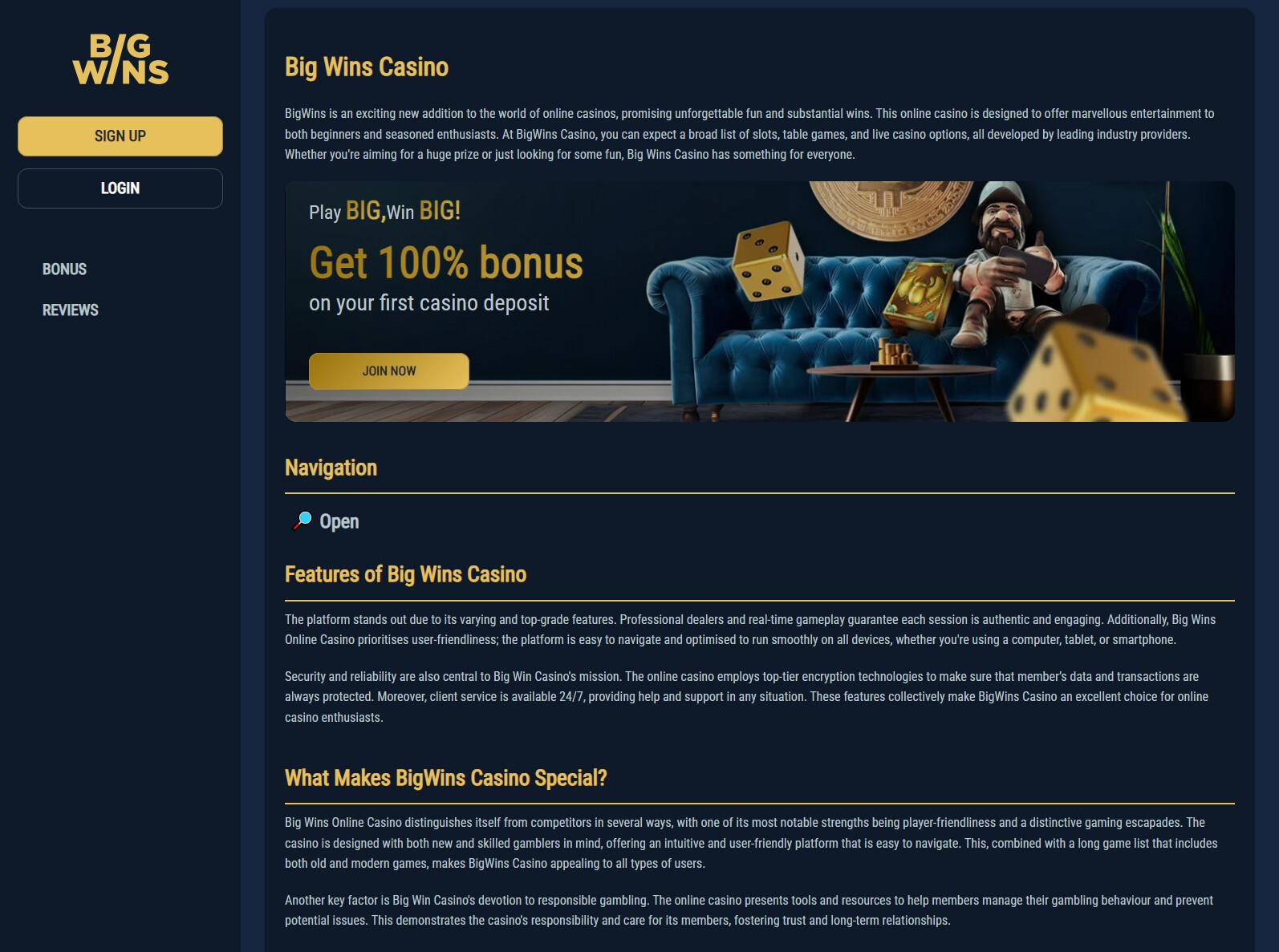 Whole Review bigwins.com